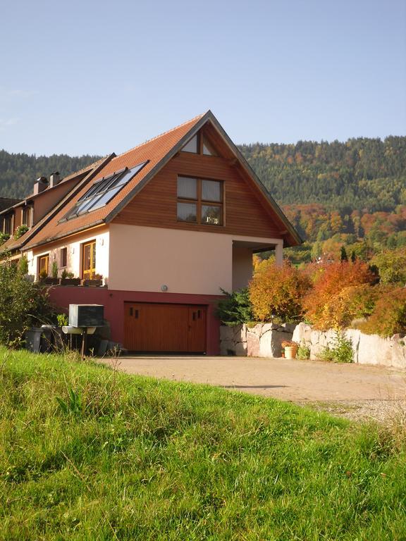 Gîtes du Taennchel Thannenkirch Exterior foto