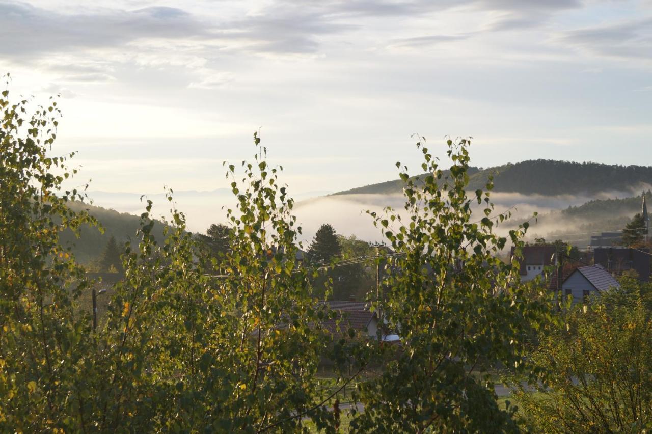 Gîtes du Taennchel Thannenkirch Exterior foto